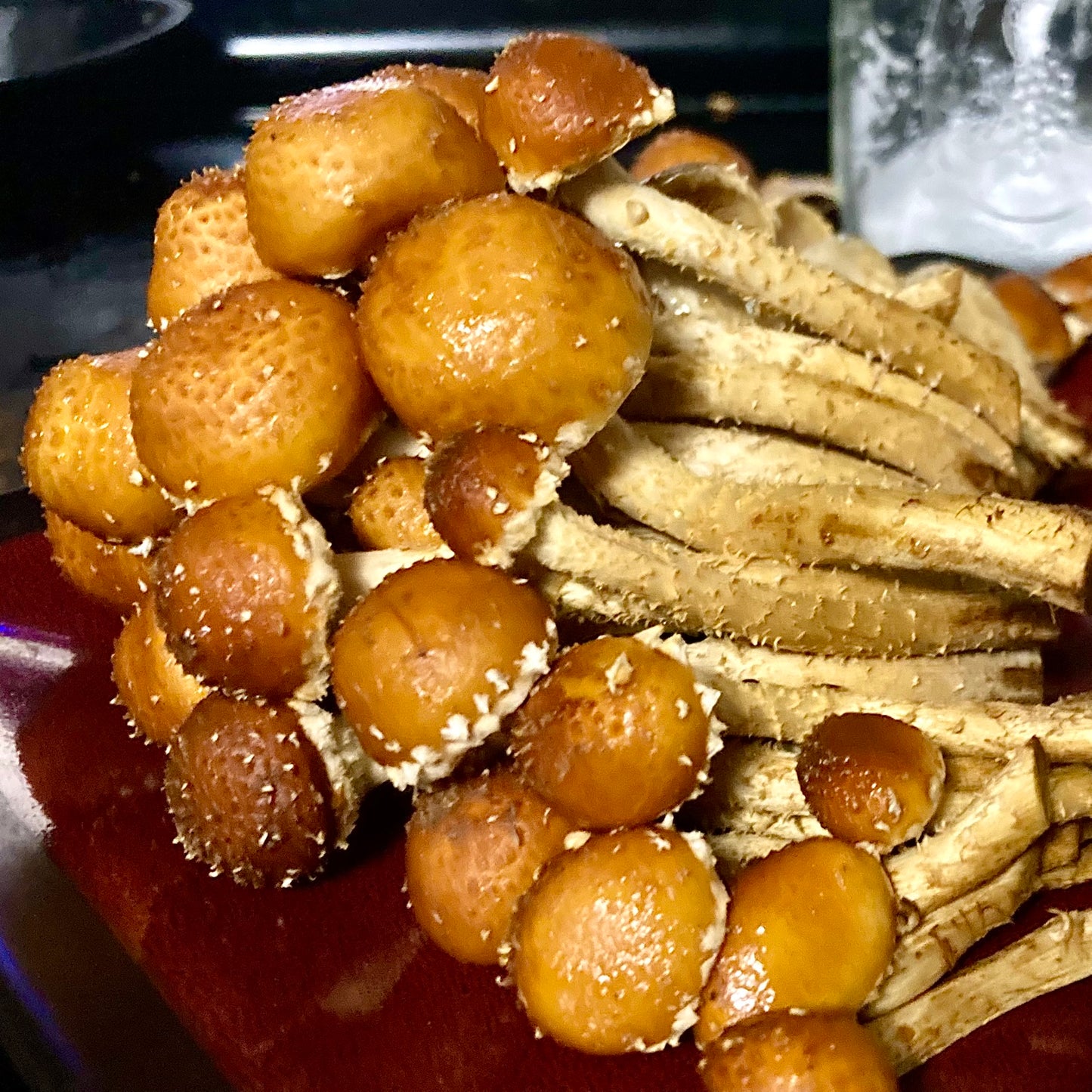 Chestnut Mushroom - PICKUP AND LOCAL DELIVERY ONLY